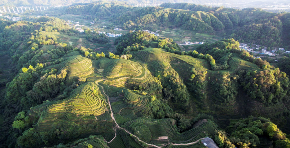 名山風景.png